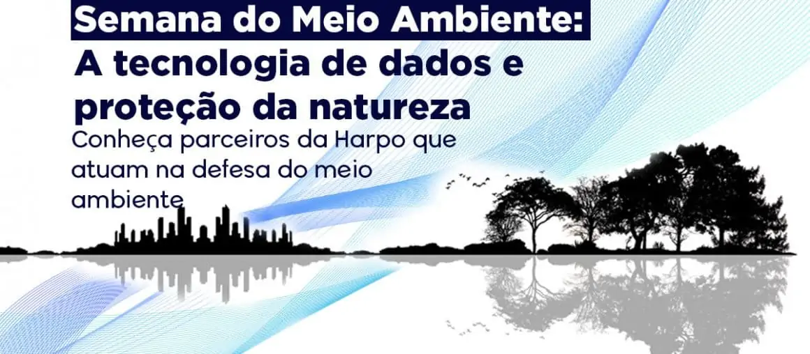 Semana do Meio Ambiente: A tecnologia de dados e proteção da natureza